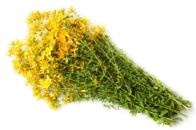 St. John's Wort used in the treatment of arthrosis